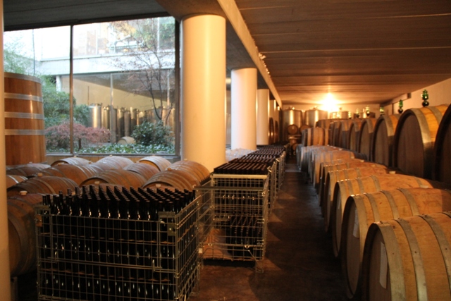 12 gen 6 Piemonte langhe 431