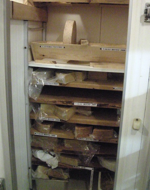 la cantina refrigerata del bitto con una collezione di varie annate