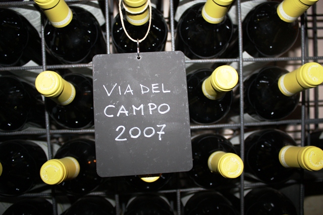 l' amata falanghina