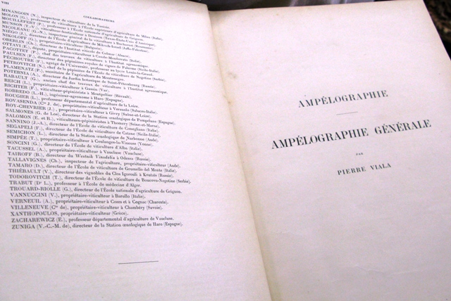 la prima pagina