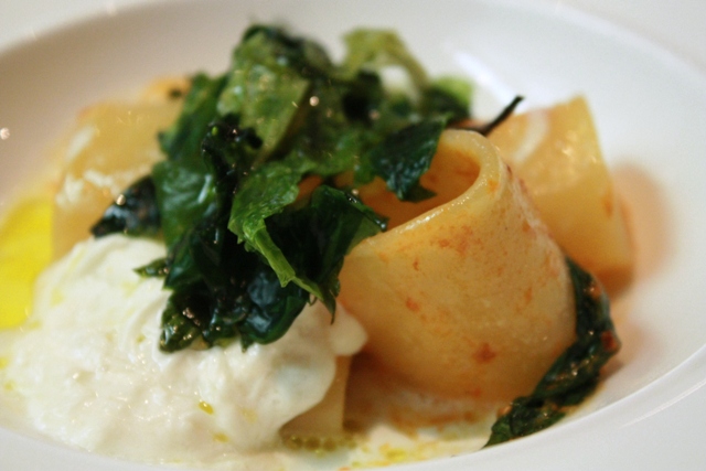 rigatoni con ricci di mare e burrata