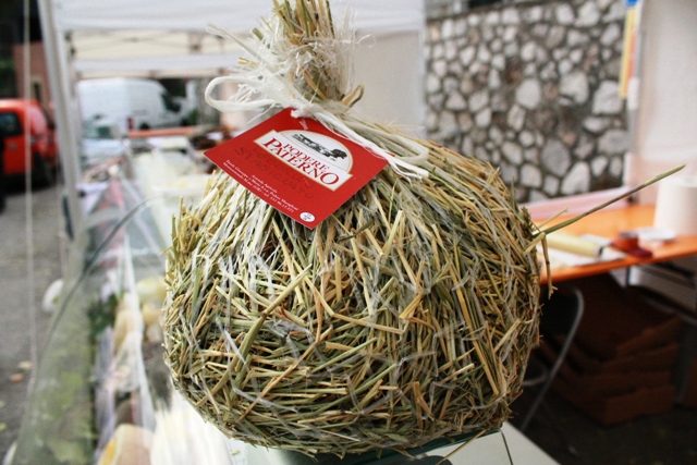 il pecorino nel fieno