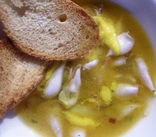 ferrar-brodetto-calamaretti-con-crostone brodetto di calamaretti con crostone