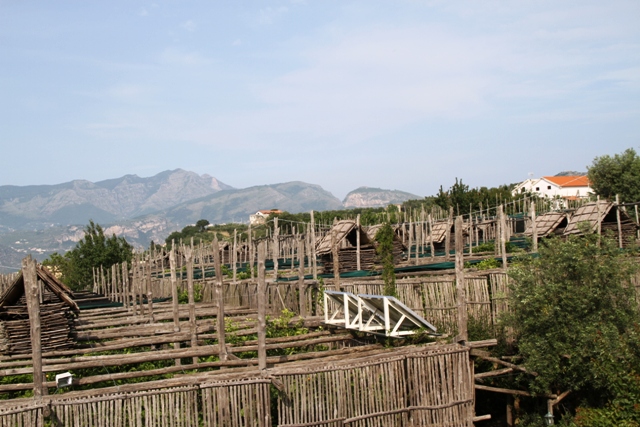 festa vico 11 166