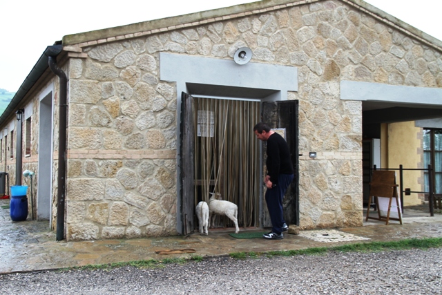 podere forte 488