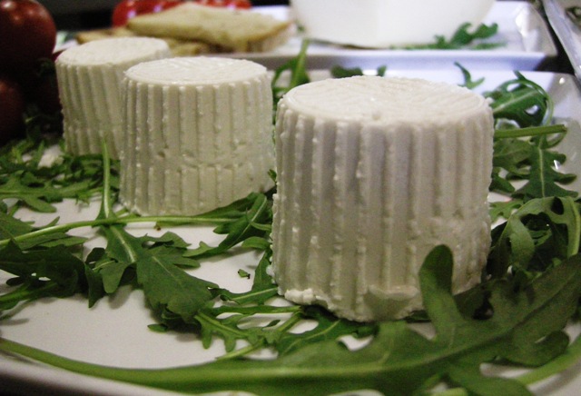 ricotta-bufala la ricotta