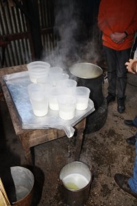 ricotta-clada1