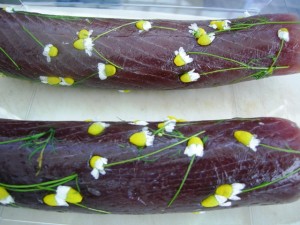 tonno-e-camomilla i filetti di tonno marinati nella camomilla