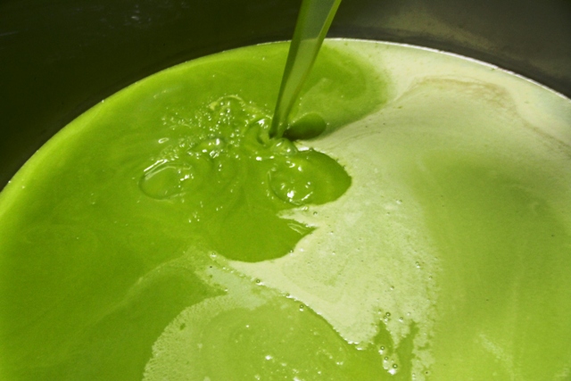 e questo è il biologico