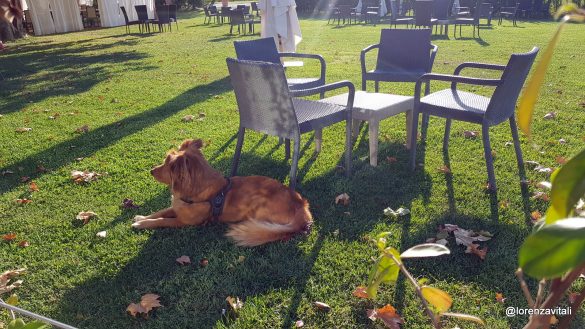 Colazione alla Locanda Sant’Agata