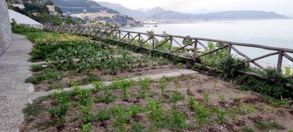 I Giardini di Fuenti
